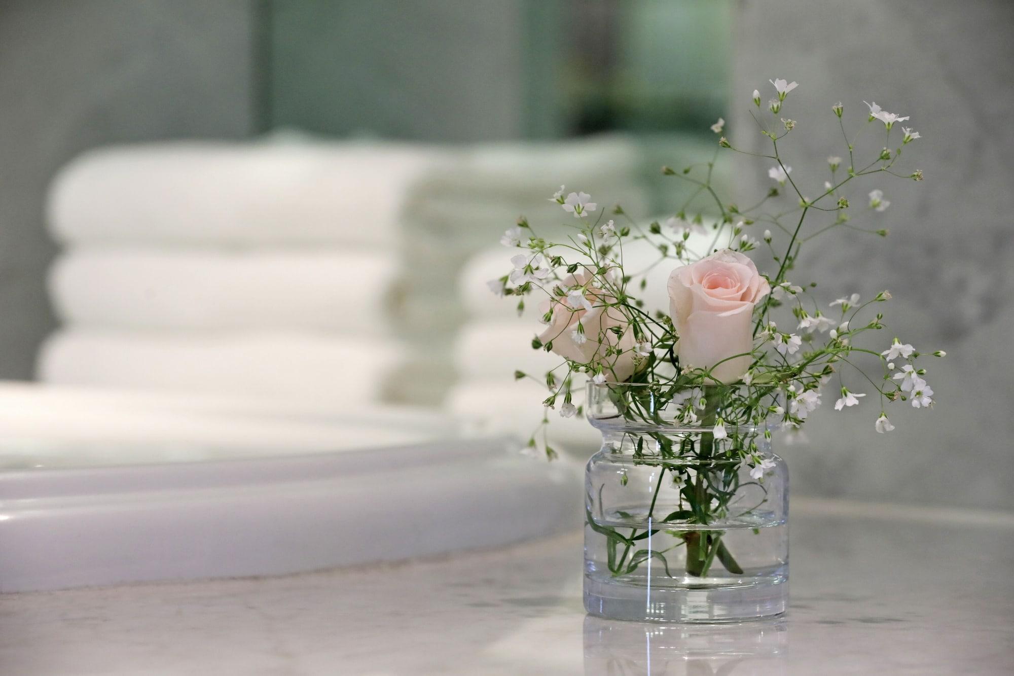 Park Hyatt Mendoza Hotel, Casino & Spa Exterior photo Gypsophila paniculata