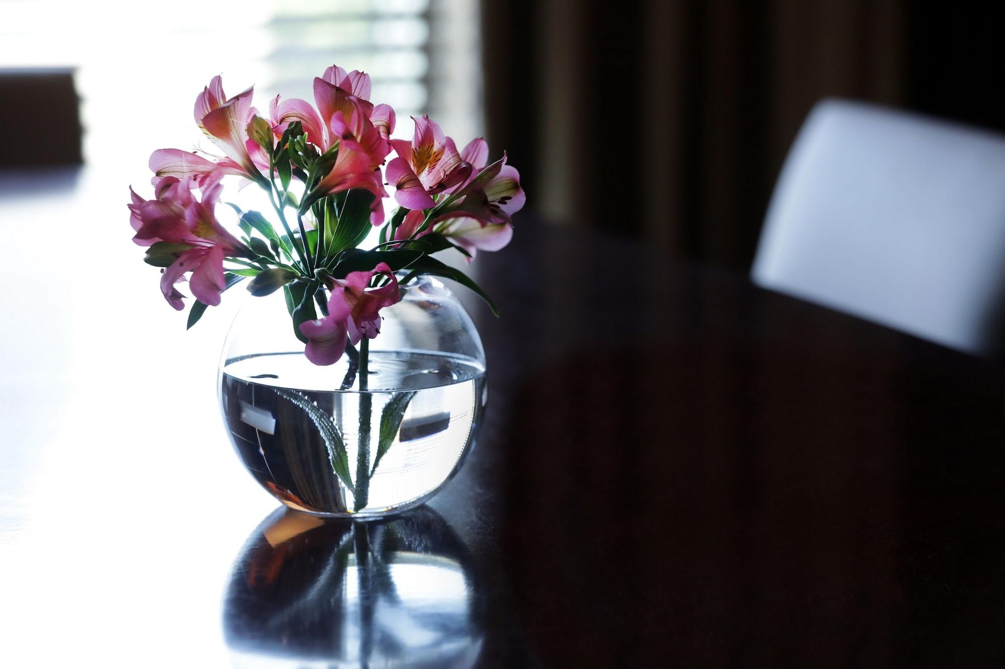 Park Hyatt Mendoza Hotel, Casino & Spa Exterior photo A flower vase
